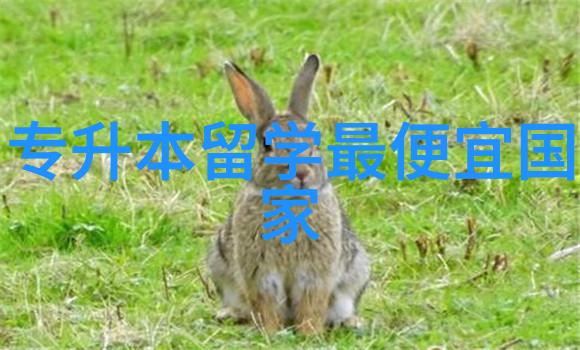 申请美国研究生留学如何规划