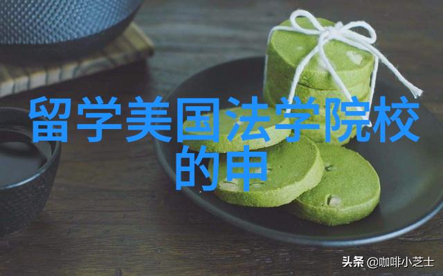 早申请策略如何在美国留学申请中占据先机